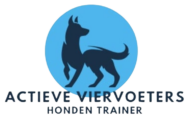 Actieve Viervoeters | Hondentraining aan Huis | Gehoorzaamheid & Gedrag